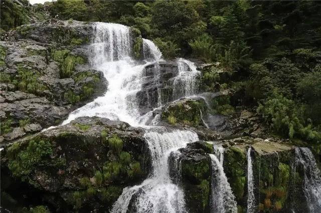 异械危机